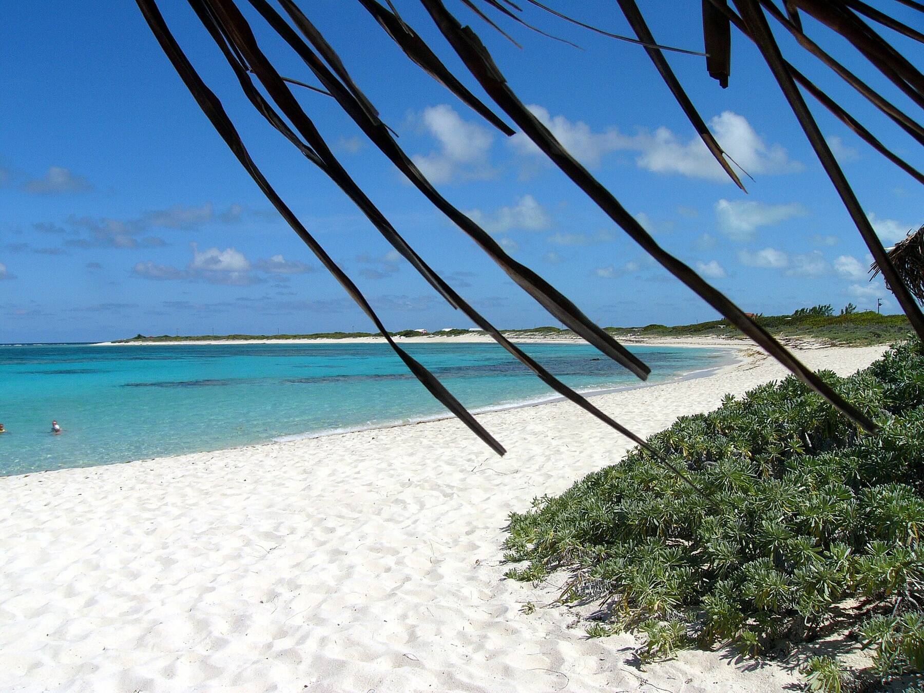 Loblolly Bay, Anegada: white sand curving away along the north shore, turquoise water over the reef and palm fronds overhead