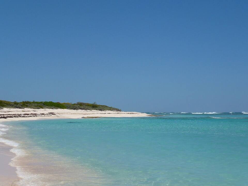 The beach at Loblolly Bay: pale sand, clear shallow water and low green scrub along the shore