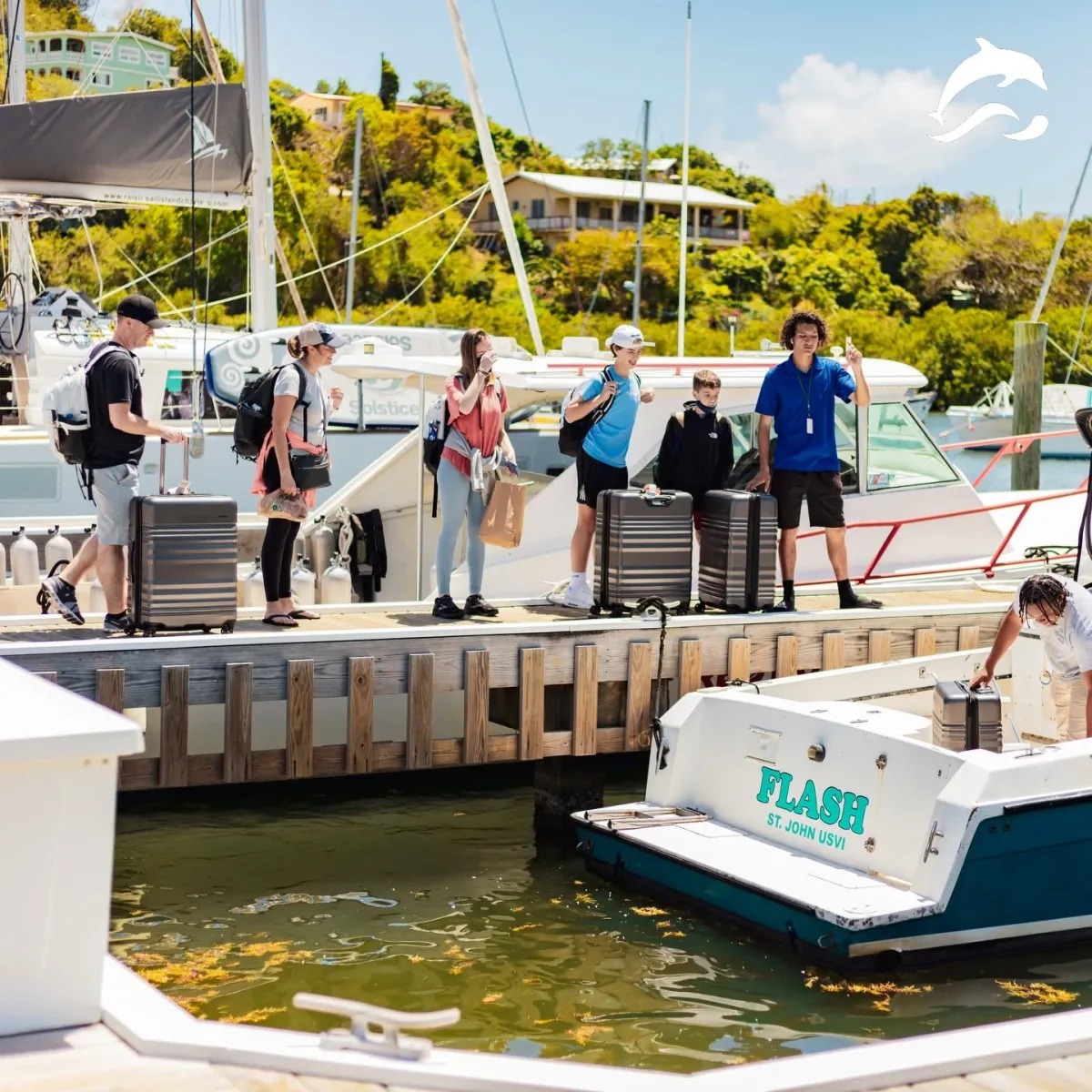Dolphin Water Taxi — Red Hook ↔ Cruz Bay, St. John