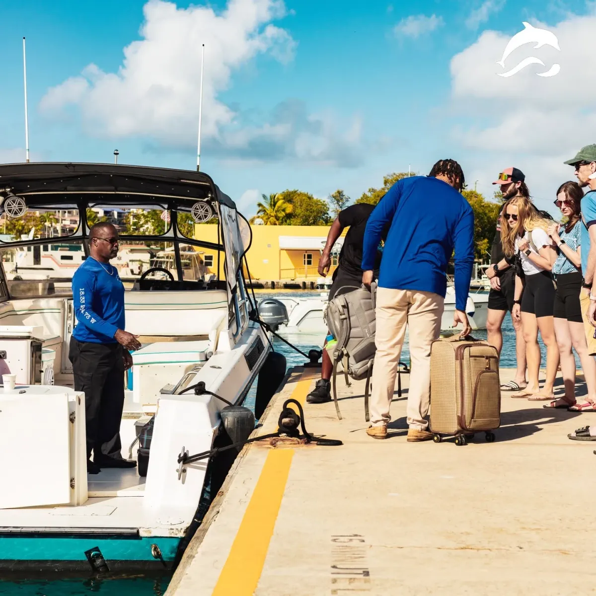 Dolphin Water Taxi — STT Airport → Cruz Bay, St. John