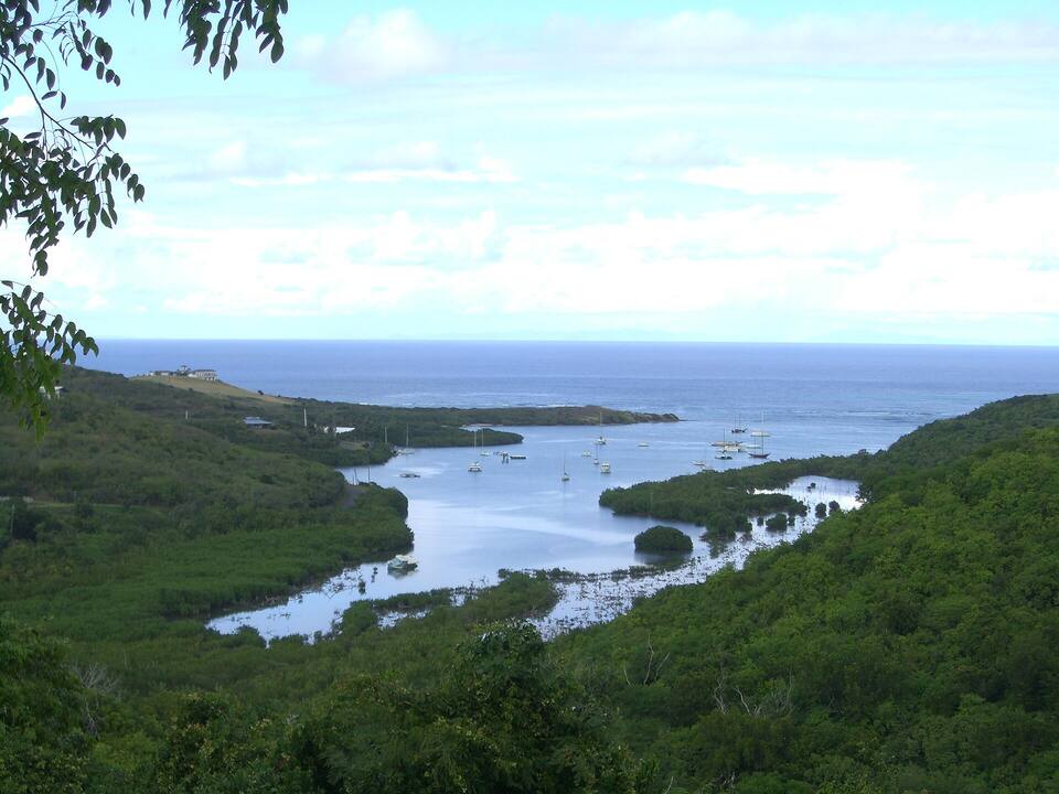 Salt River Bay from the hills: mangroves, moored boats and the bay's mouth to the sea