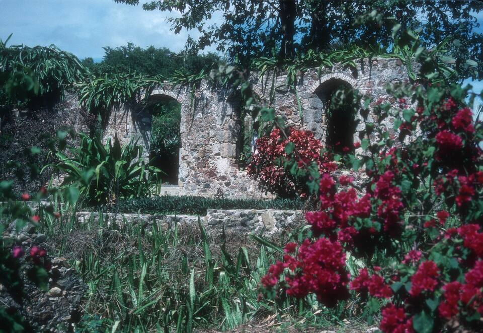 Stone arches of the old Estate St. George sugar works among the plantings of St. George Village Botanical Garden
