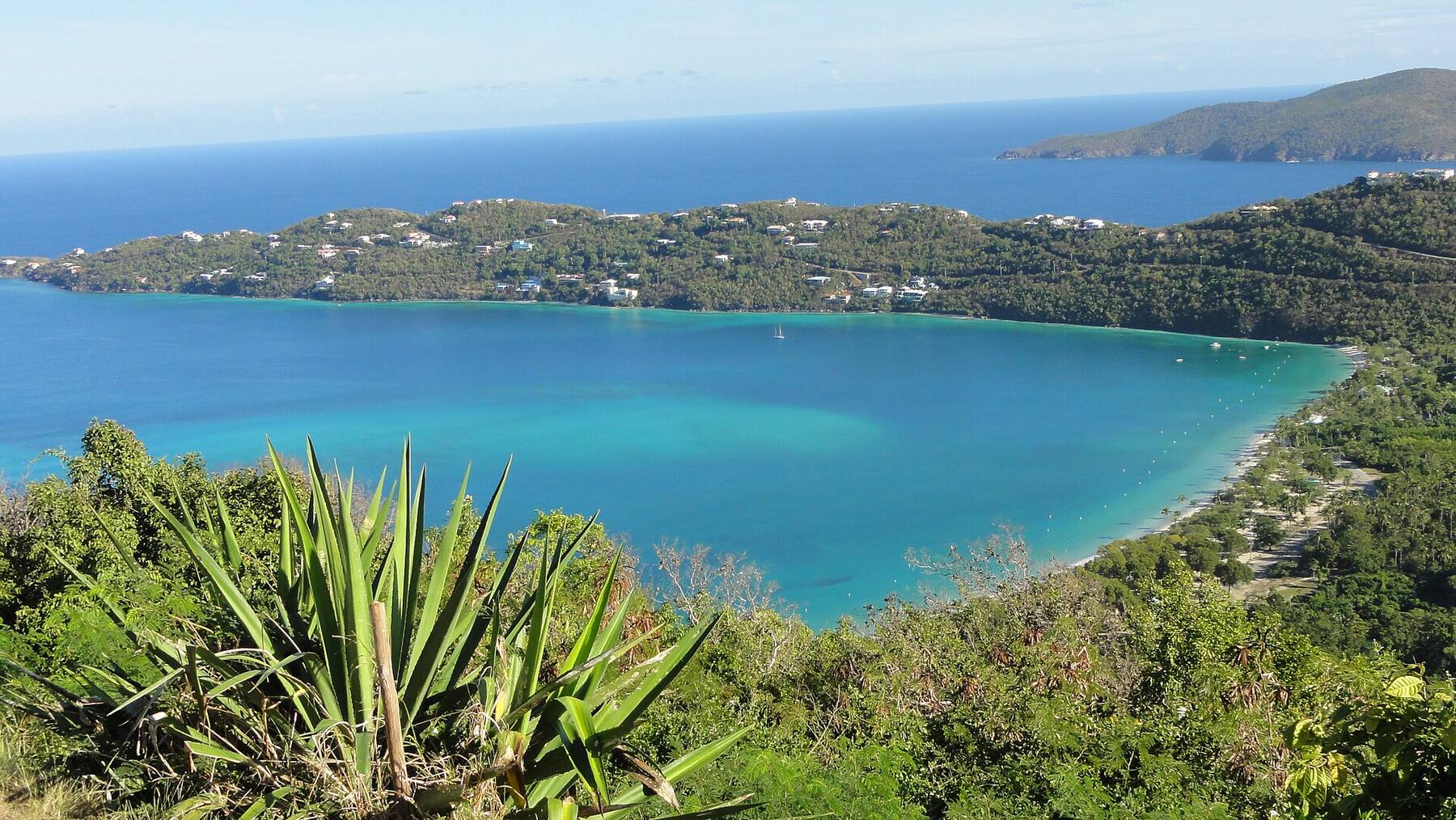 Magens Bay from the hills above: the long white beach at the head of a sheltered bay on the north shore of St. Thomas