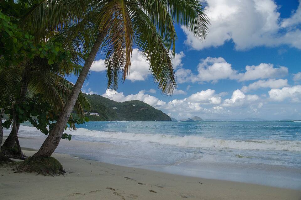 The sand at Cane Garden Bay under the palms, looking out to sea