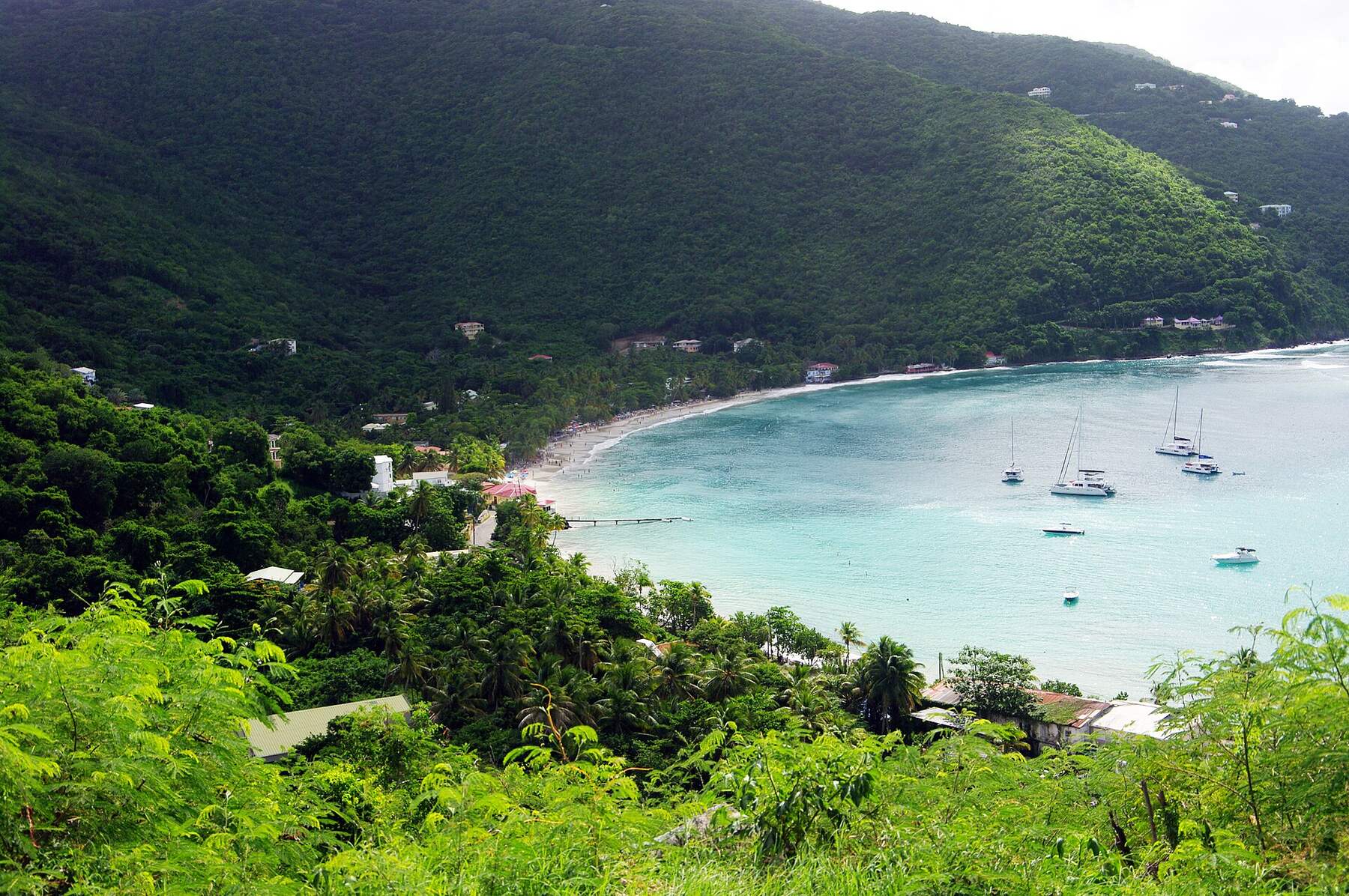 Cane Garden Bay from the hillside above it: the curve of sand, yachts at anchor and the green north-shore hills