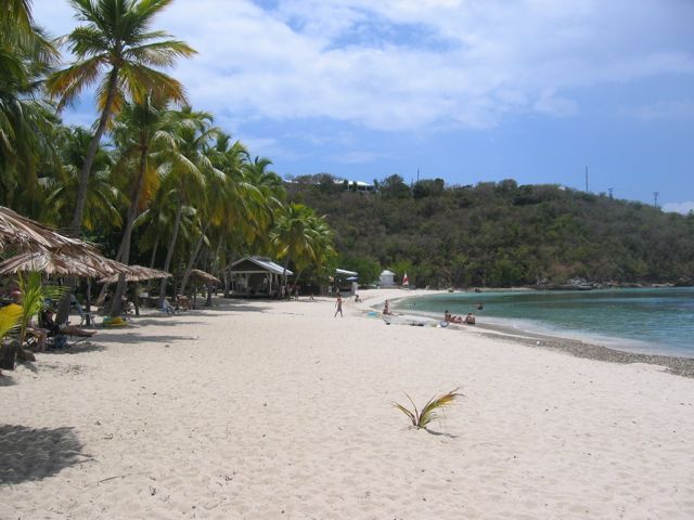 Honeymoon Beach on Water Island: palms, beach umbrellas and calm water in Druif Bay
